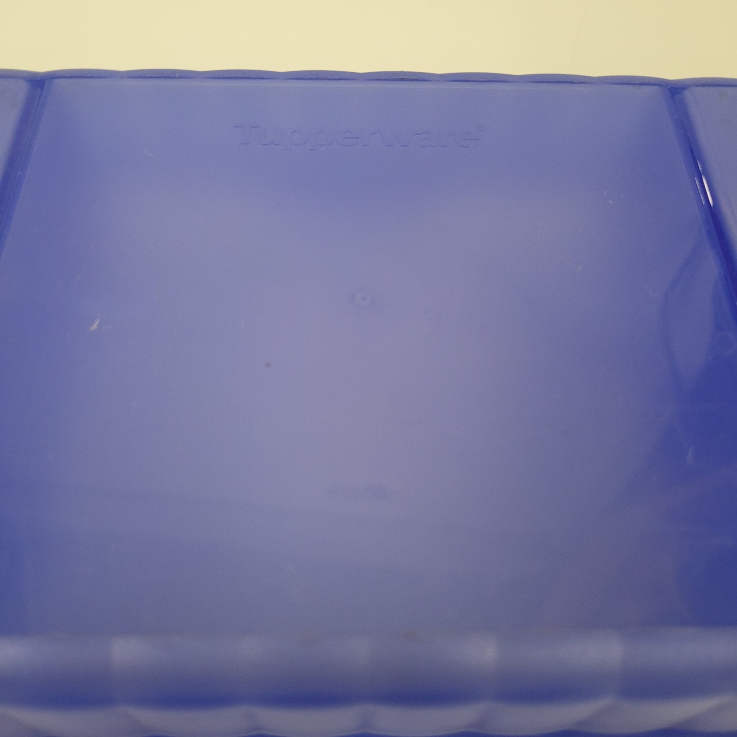 Vintage Tupperware Blue Lunch-N-Things Separated Lunchbox 4195B-1