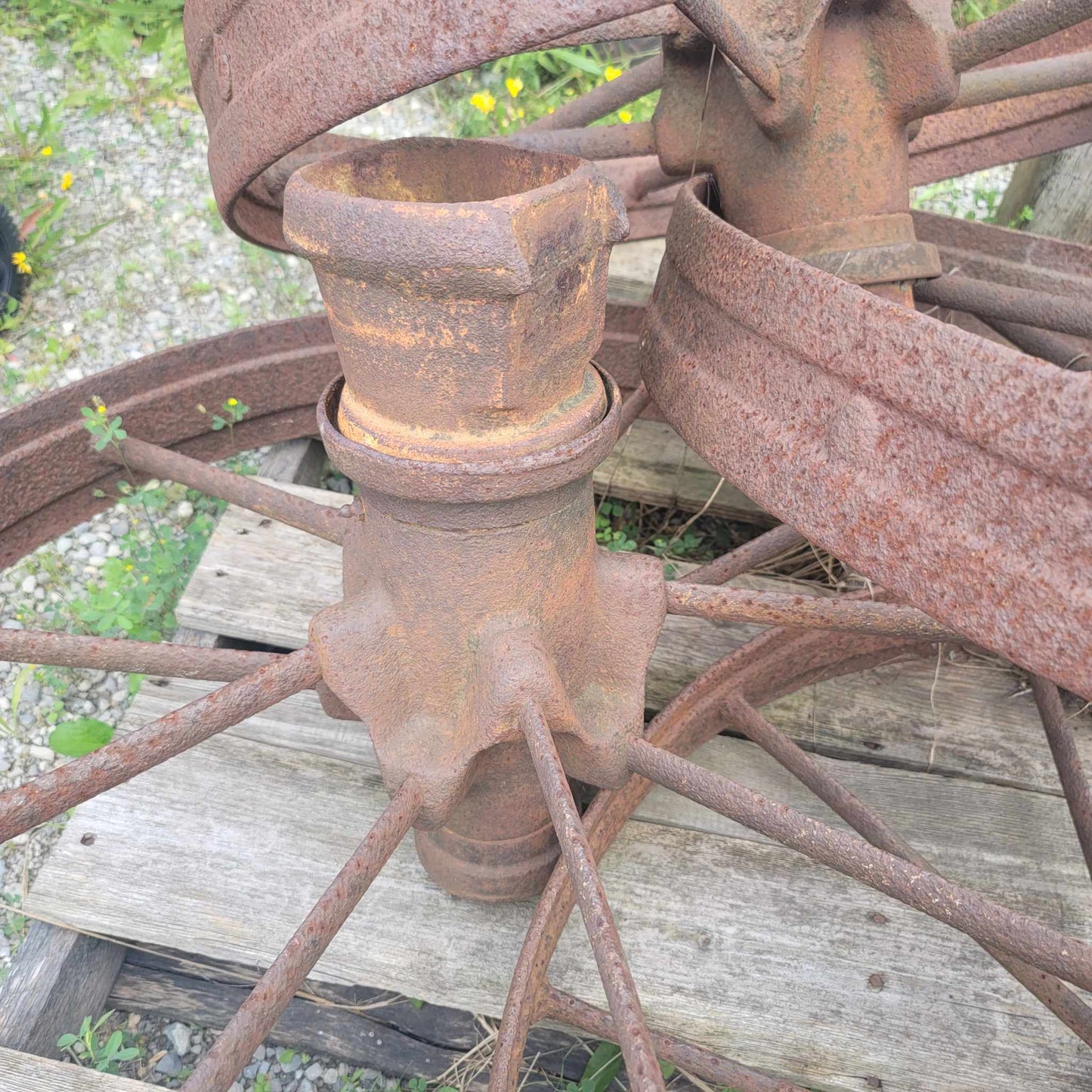 A set of four antique portable steam engine wheels displayed with a Massey portable steam engine in the background, which is not included with the wheels.