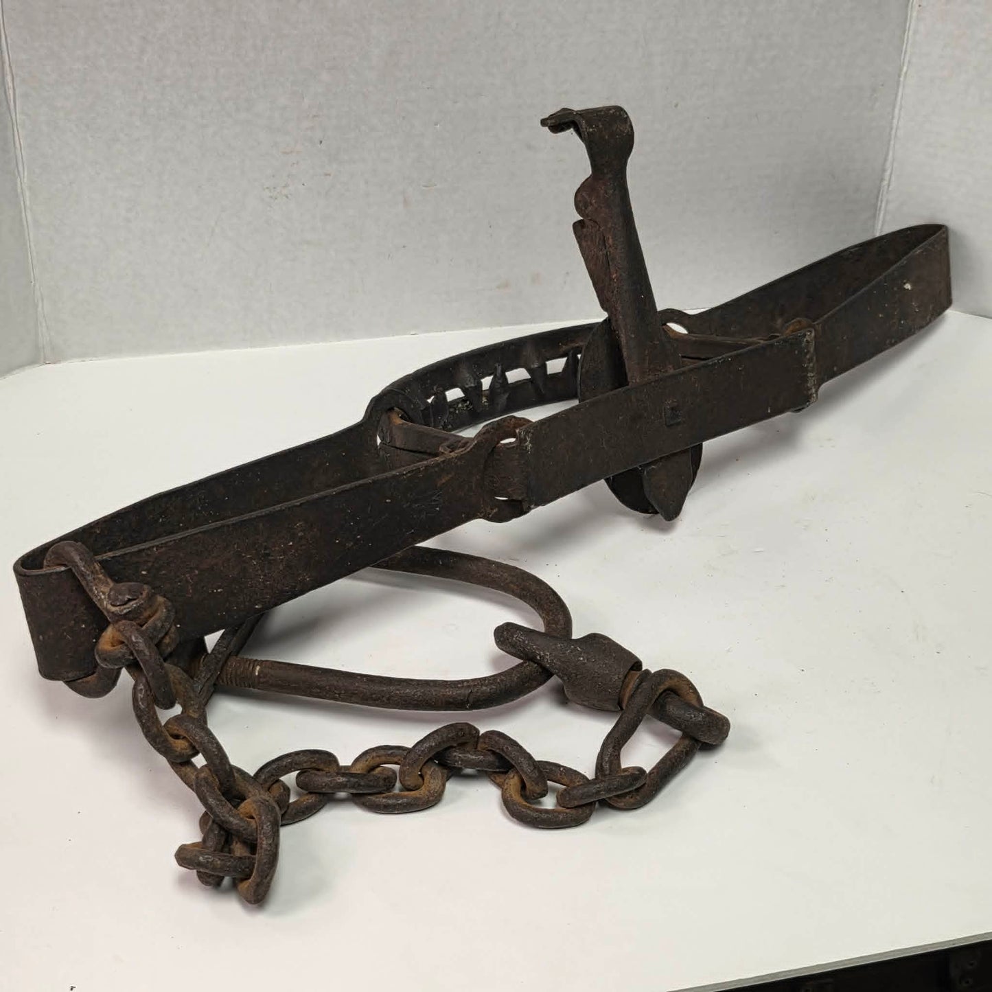 Antique Triumph 415X bear trap with toothed jaws and attached chain.