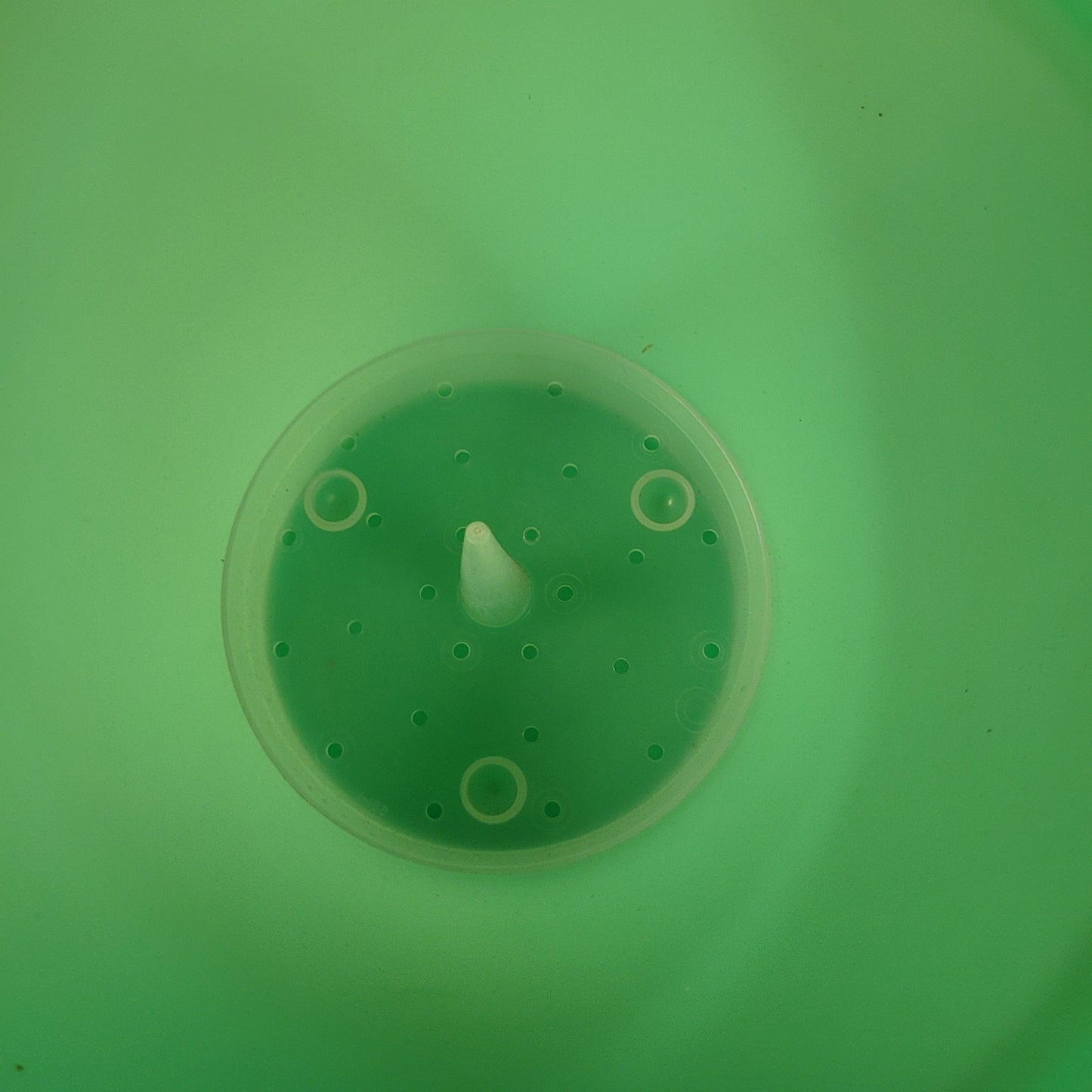 Vintage Green Tupperware Crisp-It Lettuce Crisper With Lid And Spike 679-11