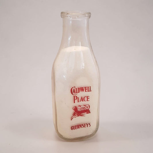 Antique Milk Bottle Rich's Dairy Caldwell Place New York