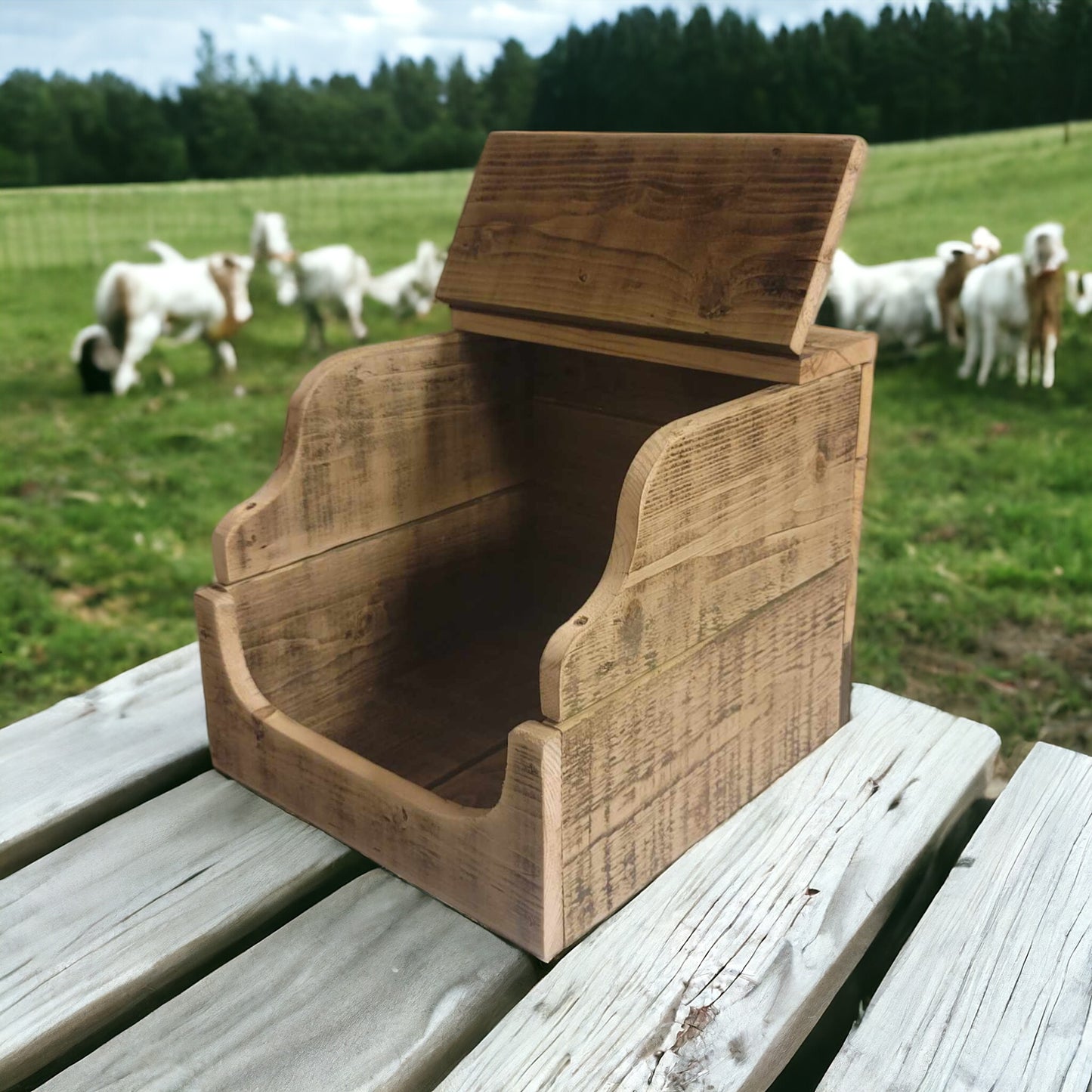 Salt Lick Box Attract Deer To Your Yard