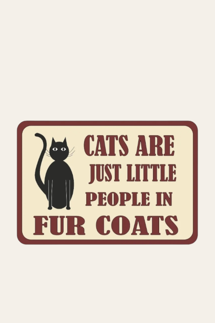 cats are just little people with fur coats