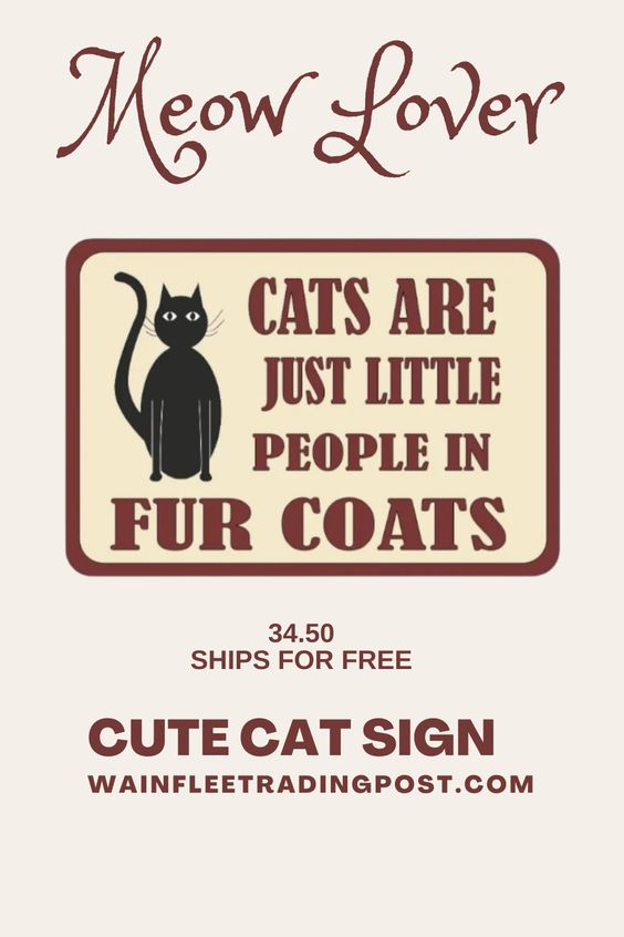 cats are just little people with fur coats