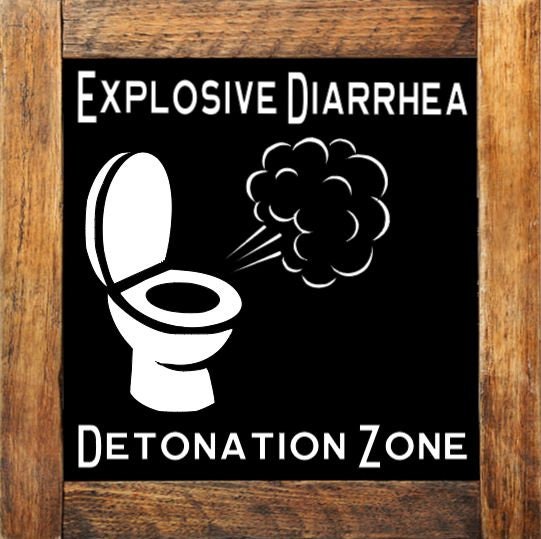 naughty bathroom mini signs mix & match original designs