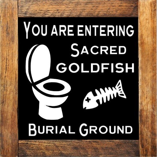 naughty bathroom mini signs mix & match original designs