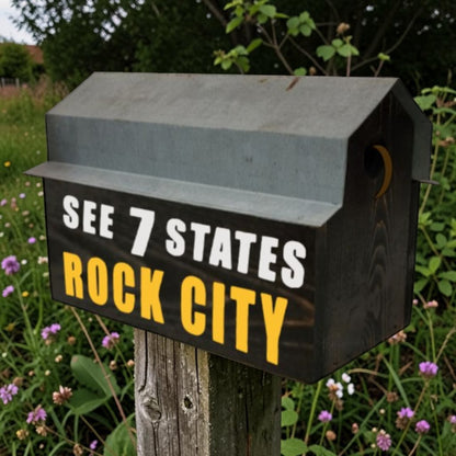 Handmade reclaimed wood Rock City double birdhouse with two nesting compartments and rustic black finish.