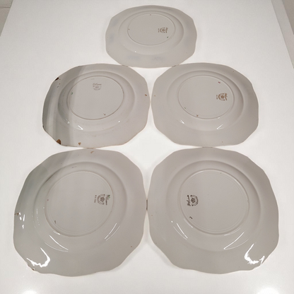 Set of 5 Royal Caledonia Crown China 8.75" Square Salad Plates – 1930s
