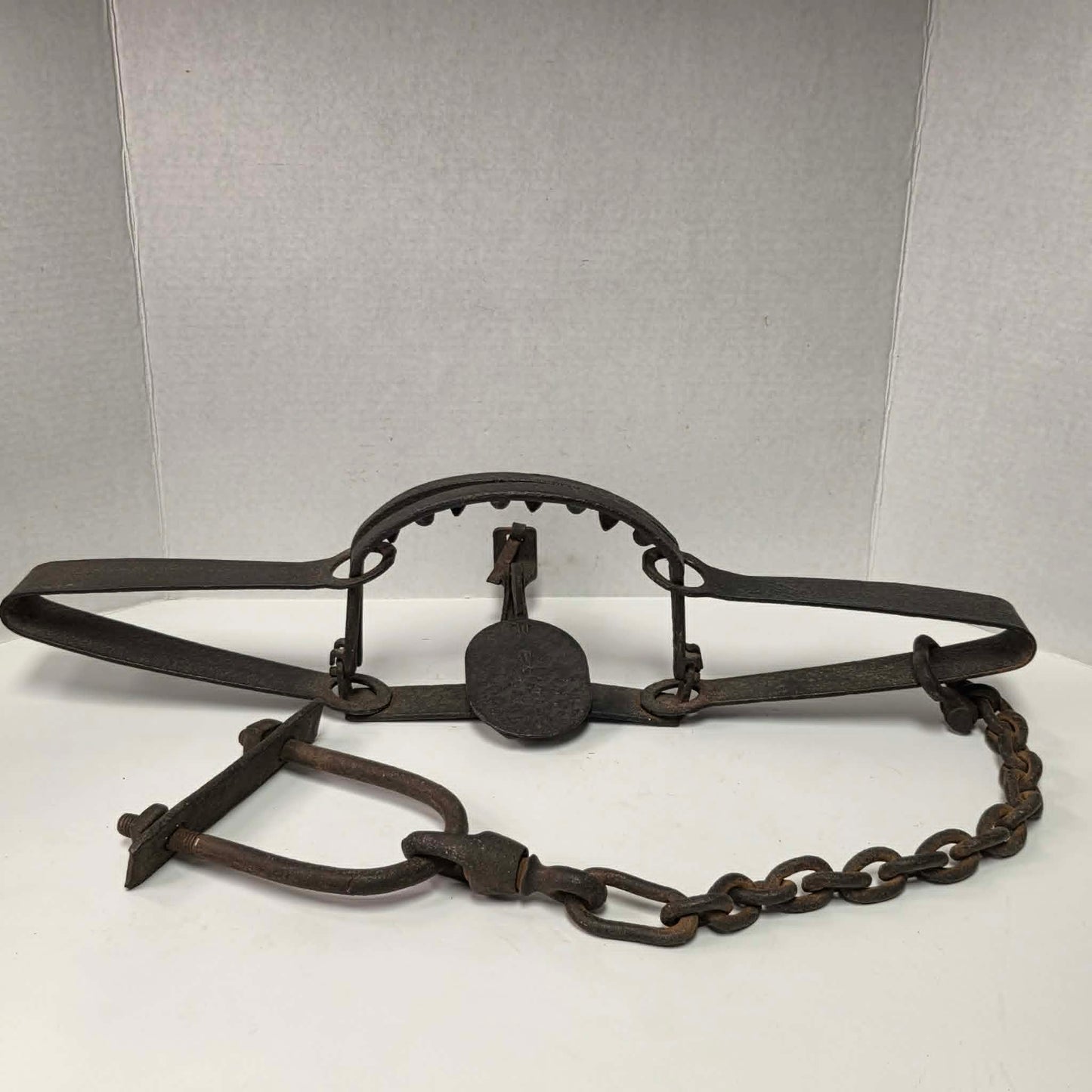 Antique Triumph 415X bear trap with toothed jaws and attached chain.
