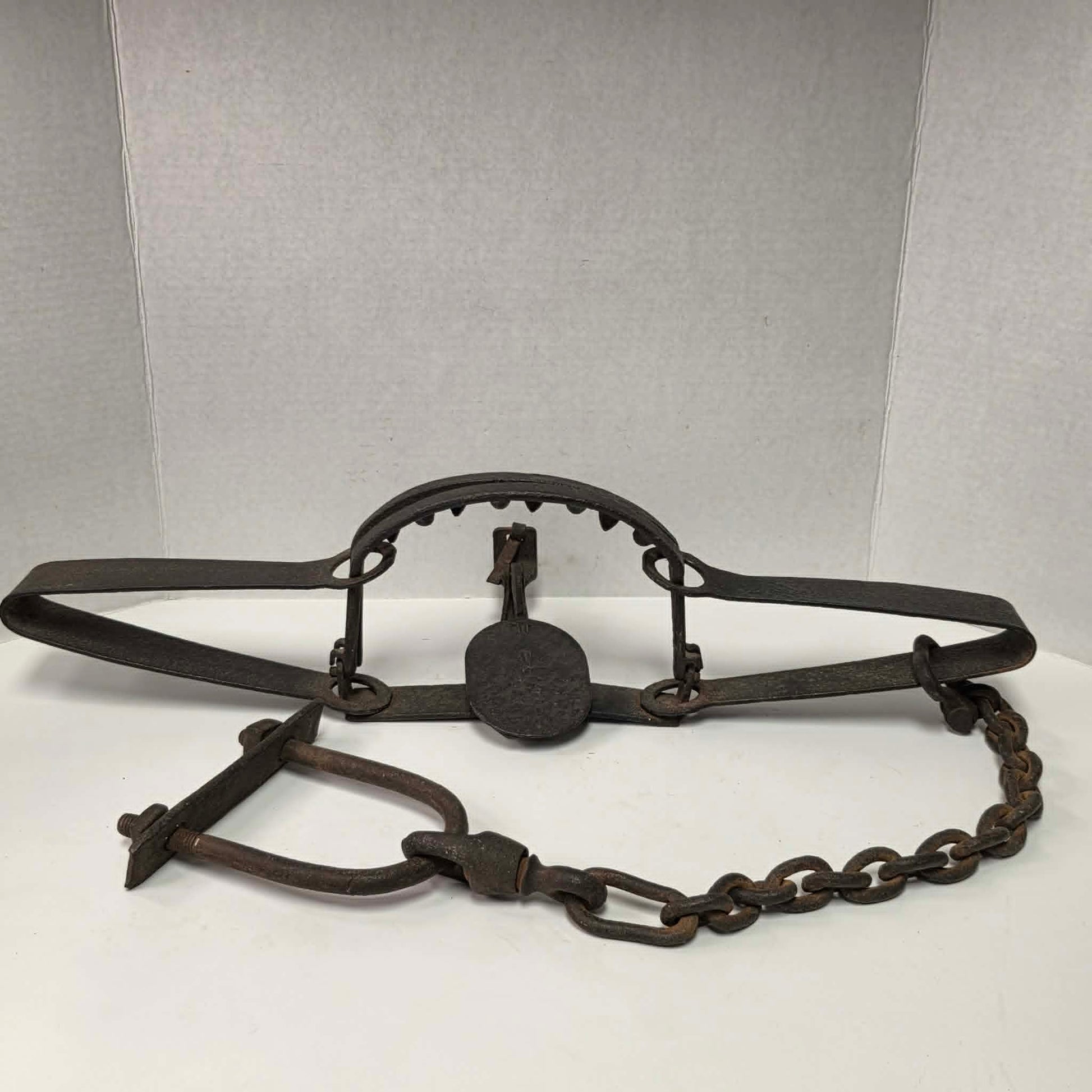 Antique Triumph 415X bear trap with toothed jaws and attached chain.

