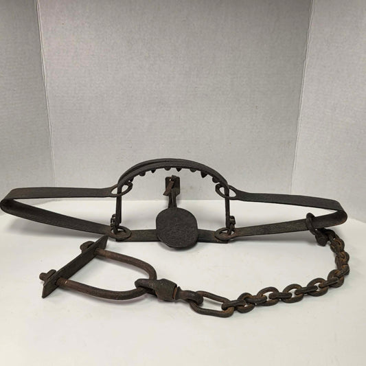 Antique Triumph 415X bear trap with toothed jaws and attached chain.
