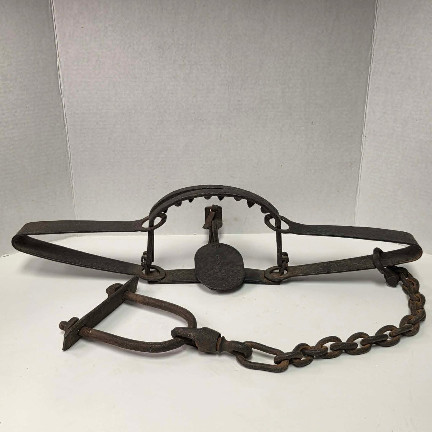 Antique Triumph 415X bear trap with toothed jaws and attached chain.
