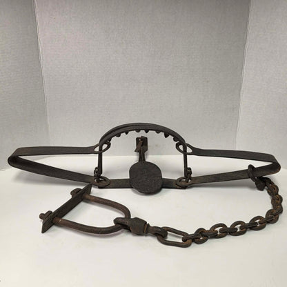 Antique Triumph 415X bear trap with toothed jaws and attached chain.
