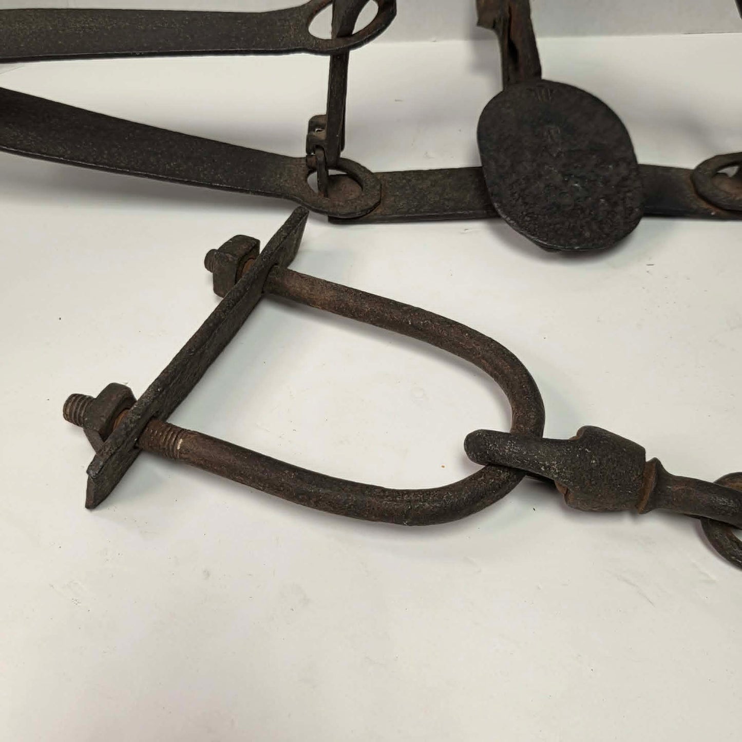 Antique Triumph 415X bear trap with toothed jaws and attached chain.
