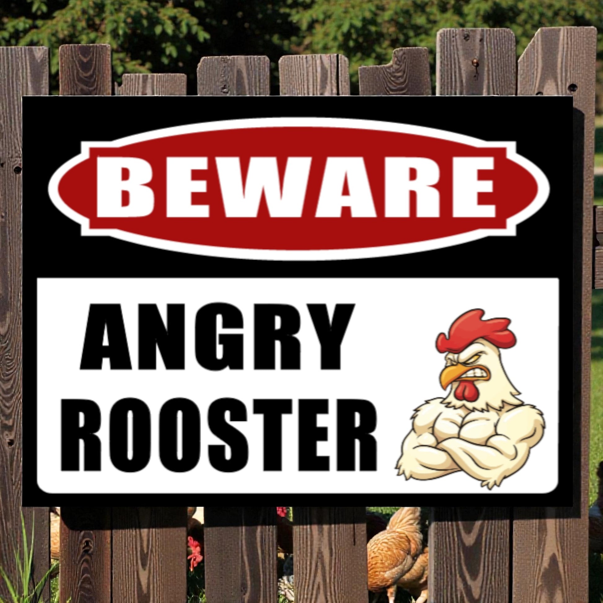 Warning sign with cartoon rooster and text 'Beware Angry Rooster' on a wooden fence background