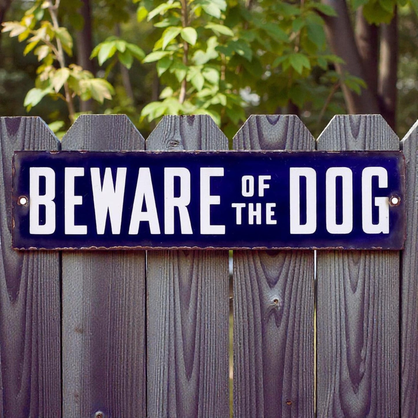 Beware of the Dog sign on a wooden fence with greenery in the background