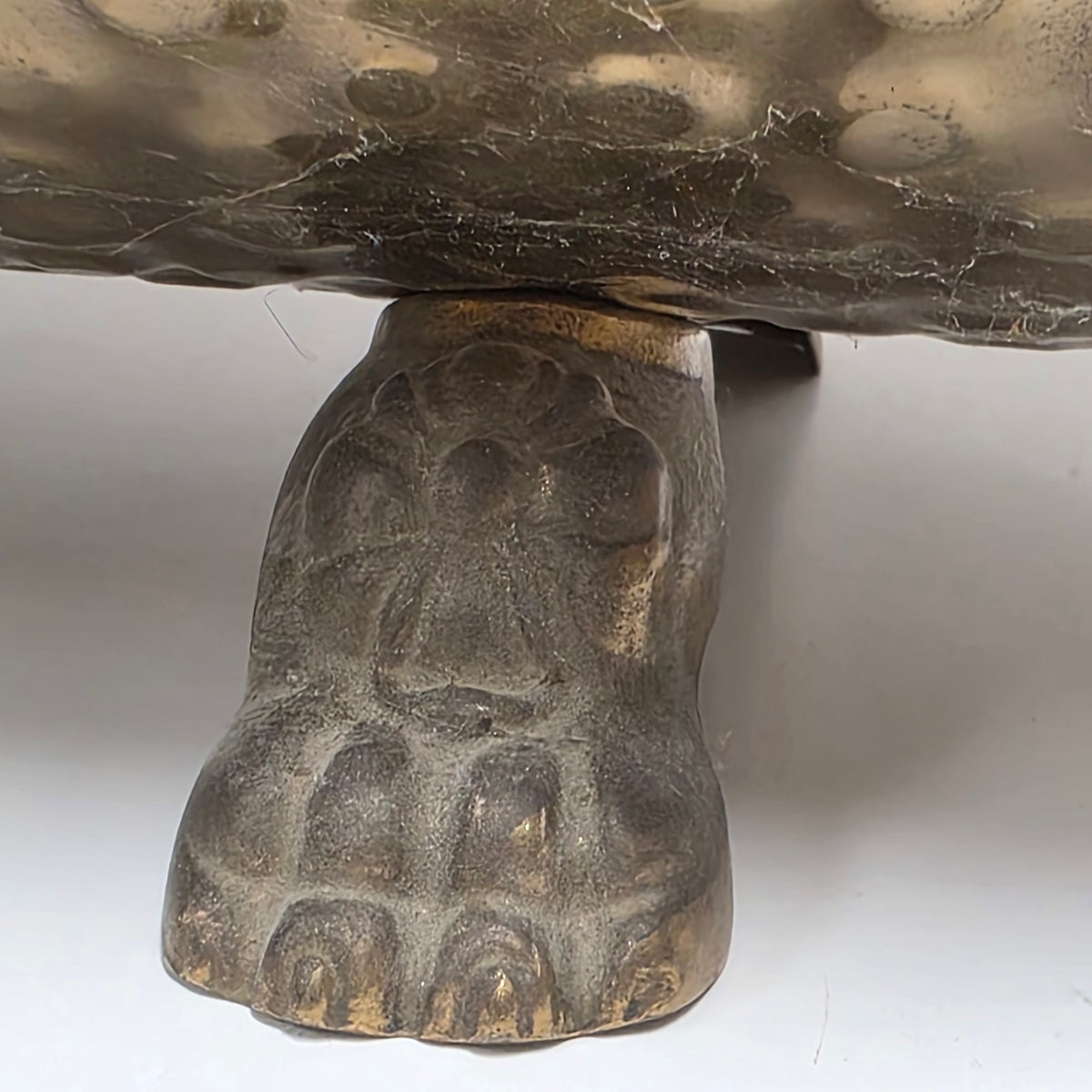 Ornate brass fireplace log holder with lion heads and paw feet
