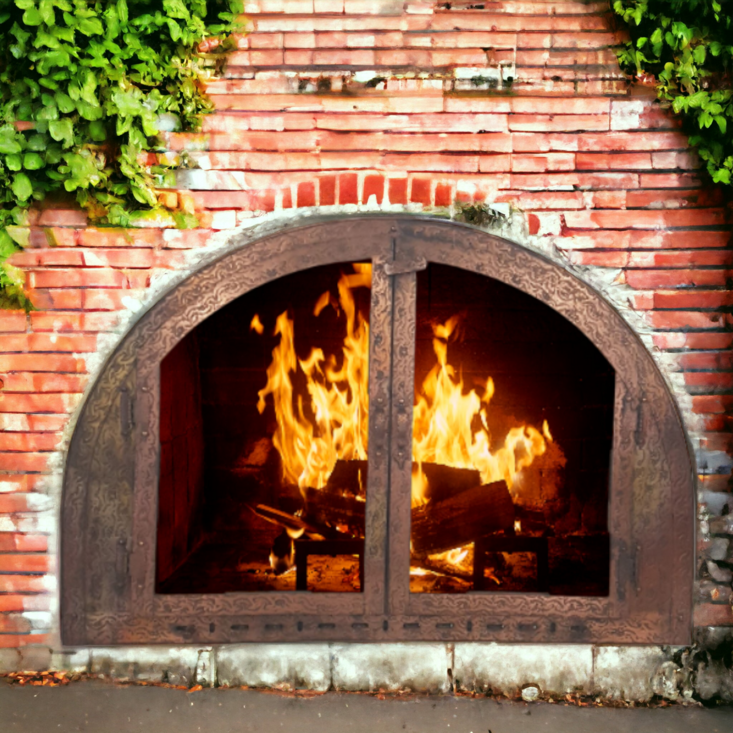 Craftsman Style Arched Top Fireplace Doors Pizza Oven Doors