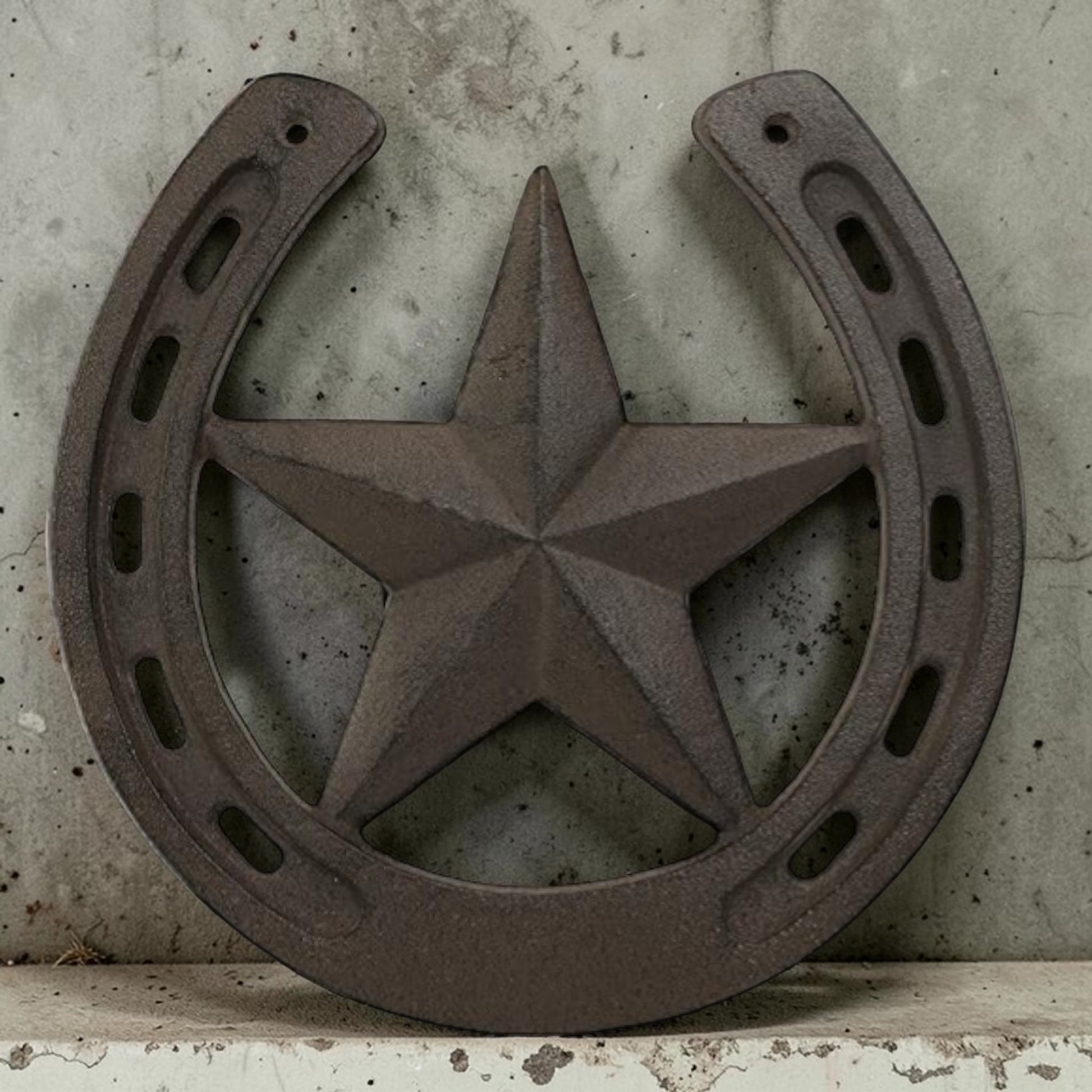 Rustic Cast Iron Texas Star Horseshoe Wall Plaque