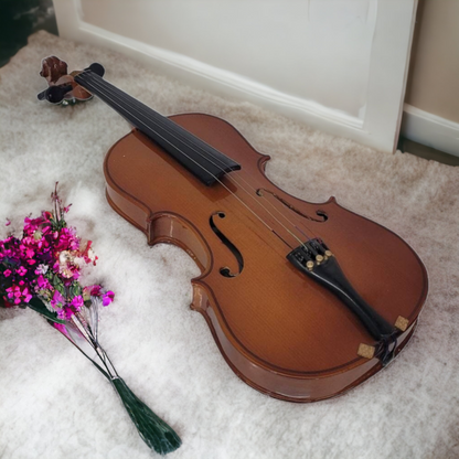 Antique Violin Ancona Violin Stringed Musical Instrument