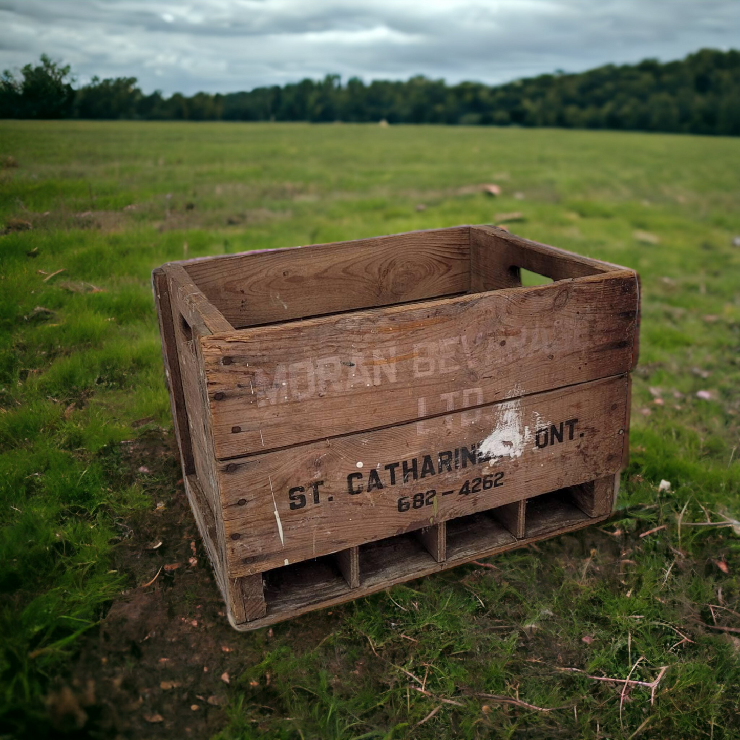 Vintage Wooden Pop Crate Moran Beverages St Catharines Ont.