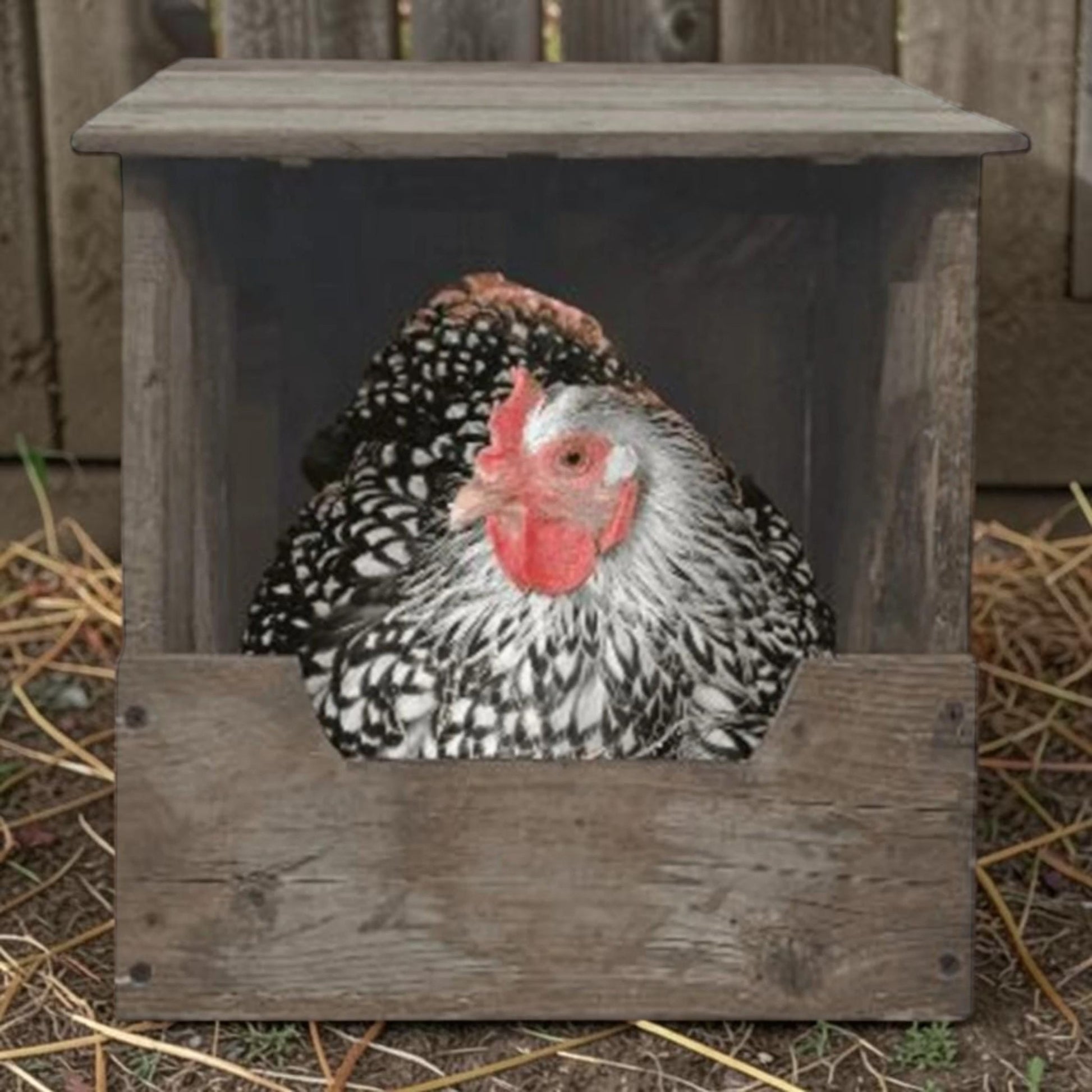 Hand-built reclaimed nesting box for chickens or rabbits, available in two sizes.