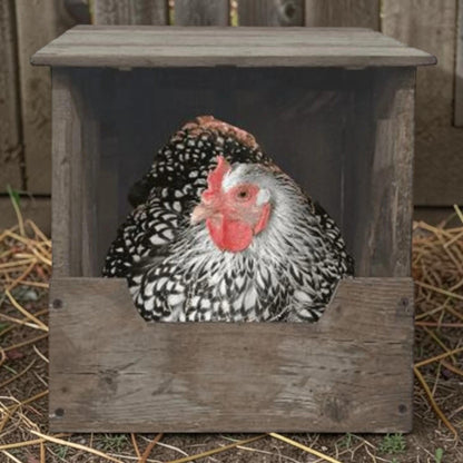 Hand-built reclaimed nesting box for chickens or rabbits, available in two sizes.
