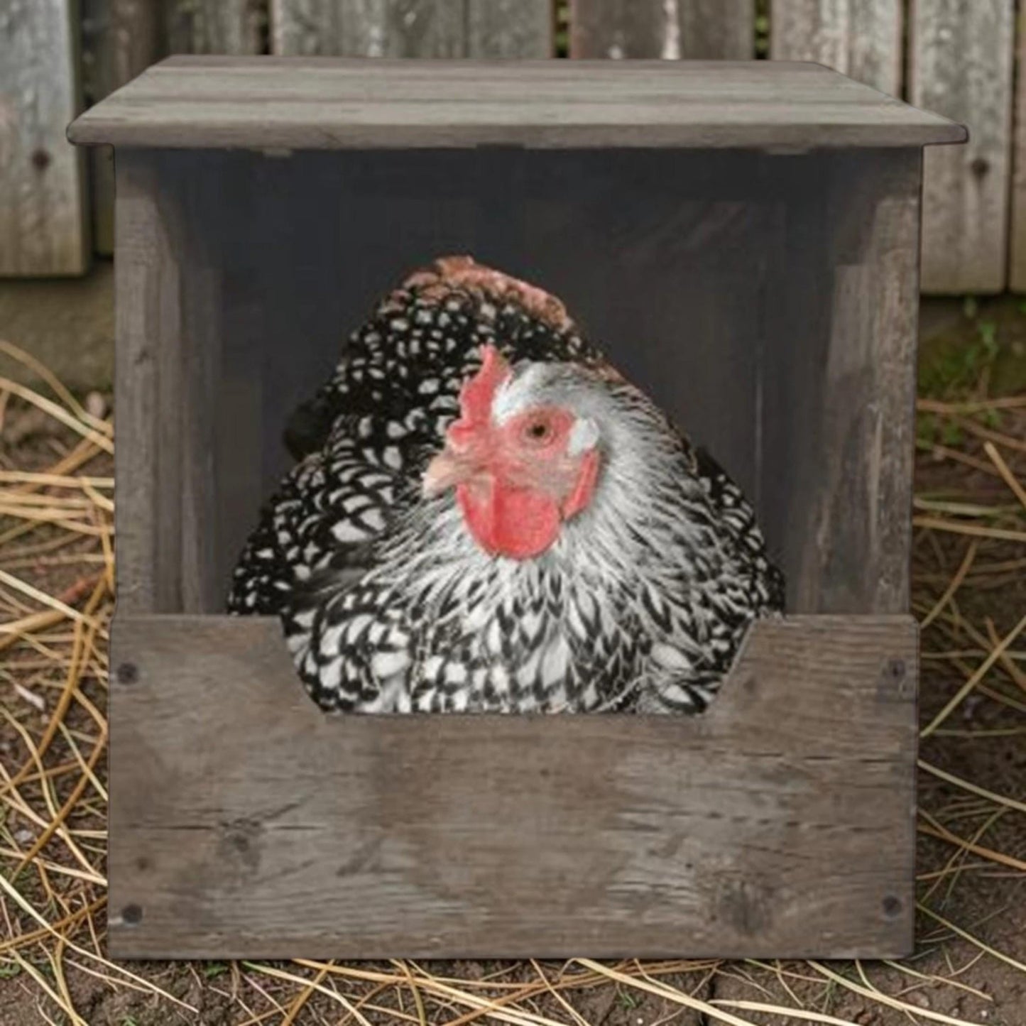 Hand-built reclaimed nesting box for chickens or rabbits, available in two sizes.