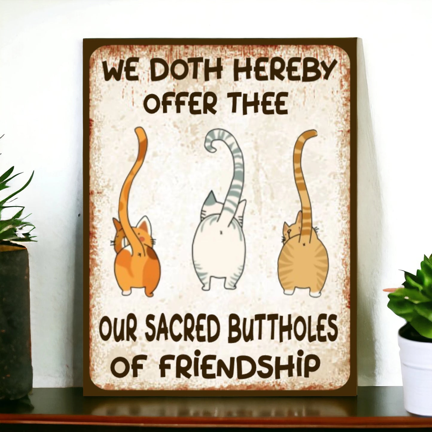 Cat Sign Offer Friendship Sign