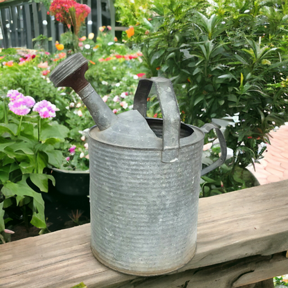 galvanized watering can vintage rustic garden decor