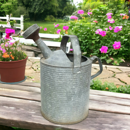 galvanized watering can vintage rustic garden decor