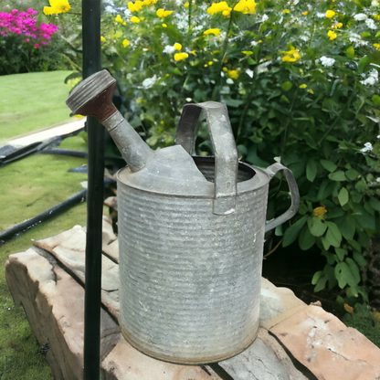 galvanized watering can vintage rustic garden decor