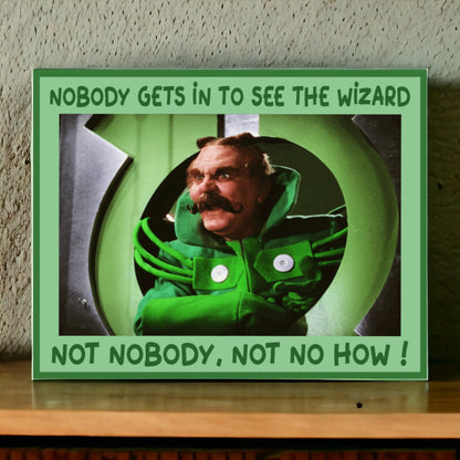 Nobody Gets In To See The wizard 