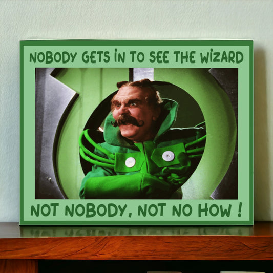 Nobody Gets In To See The wizard 