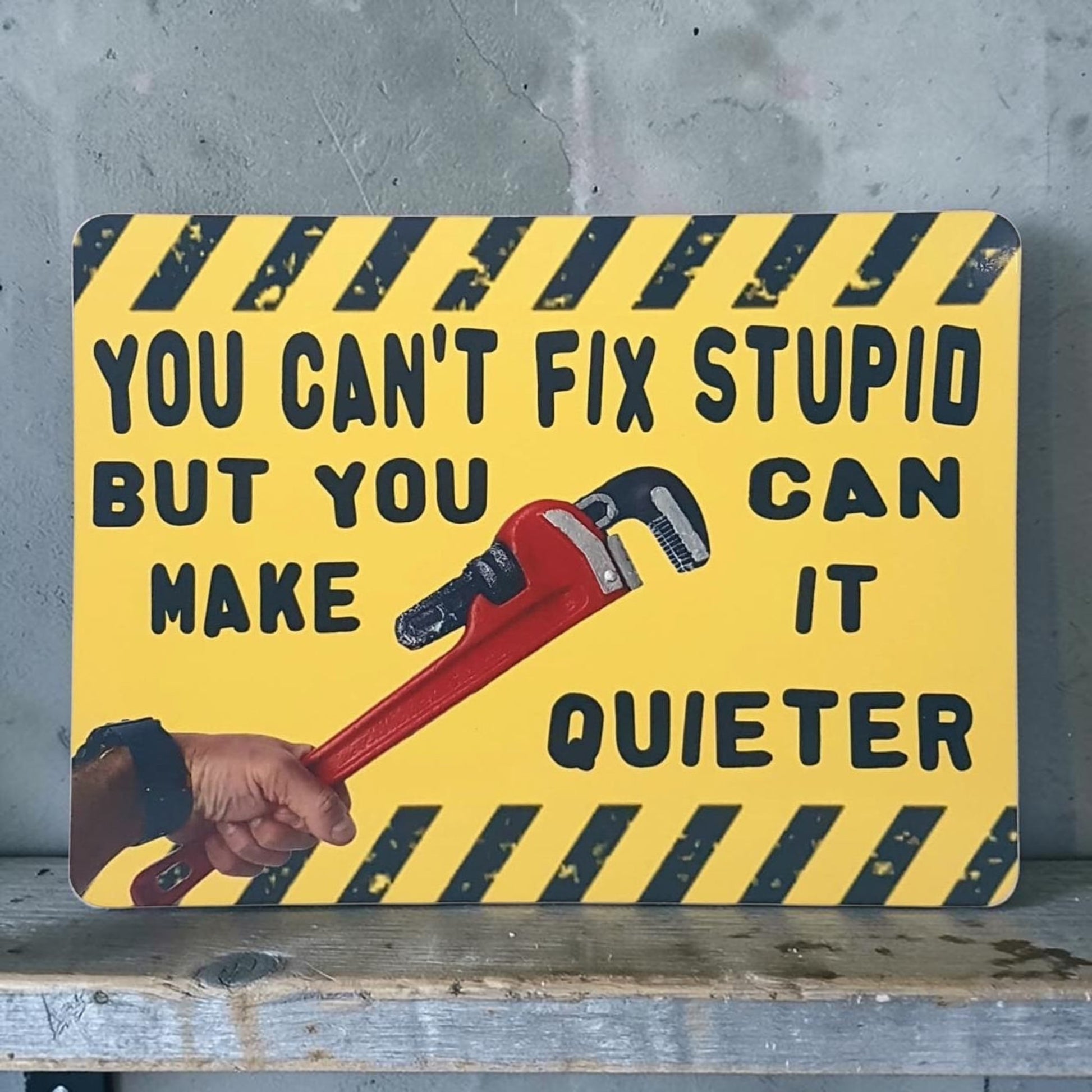 Funny Metal Wall Sign You Cant Fix Stupid But You Can Make It Quieter