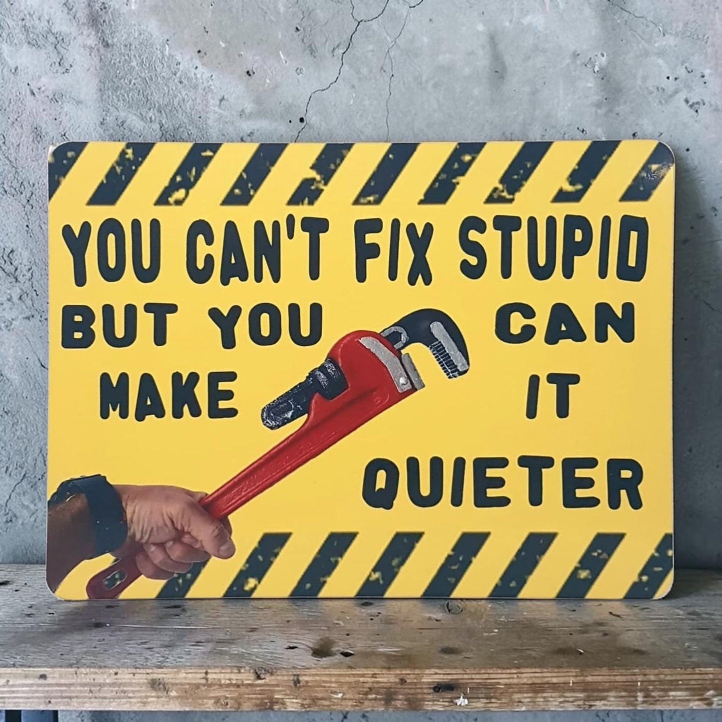 Funny Metal Wall Sign You Cant Fix Stupid But You Can Make It Quieter
