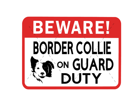 beware of dog sign border collie on guard duty
