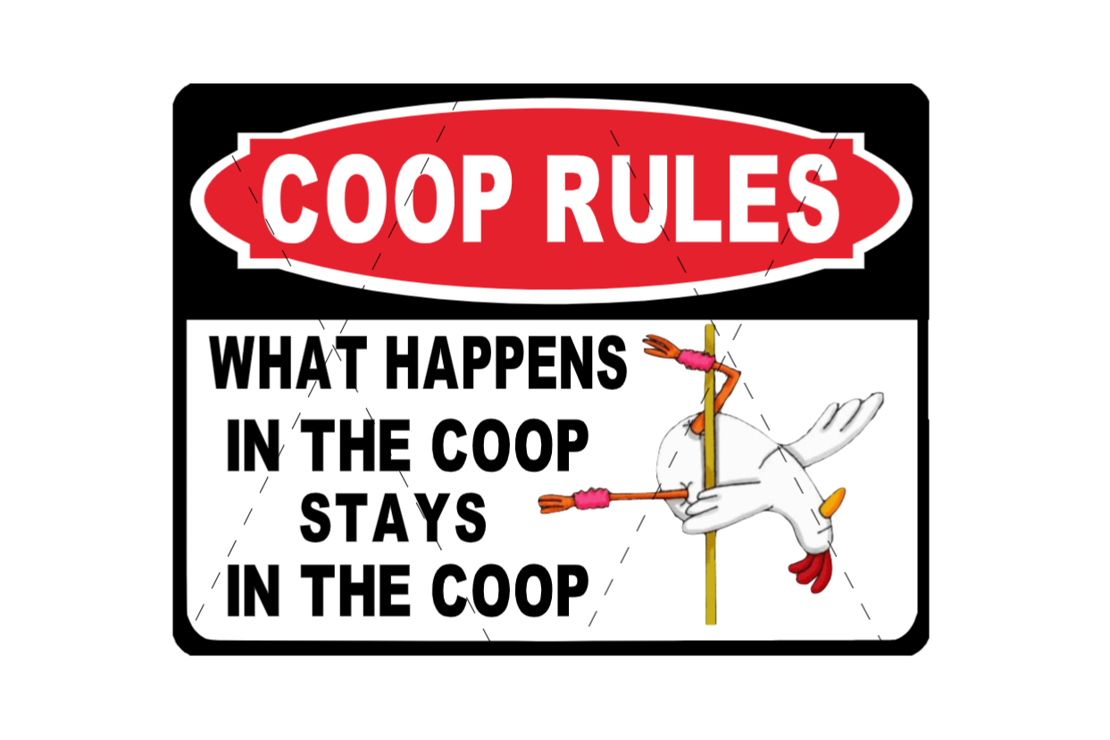 chicken coop signs warning signs what happens in the coop stays in the coop