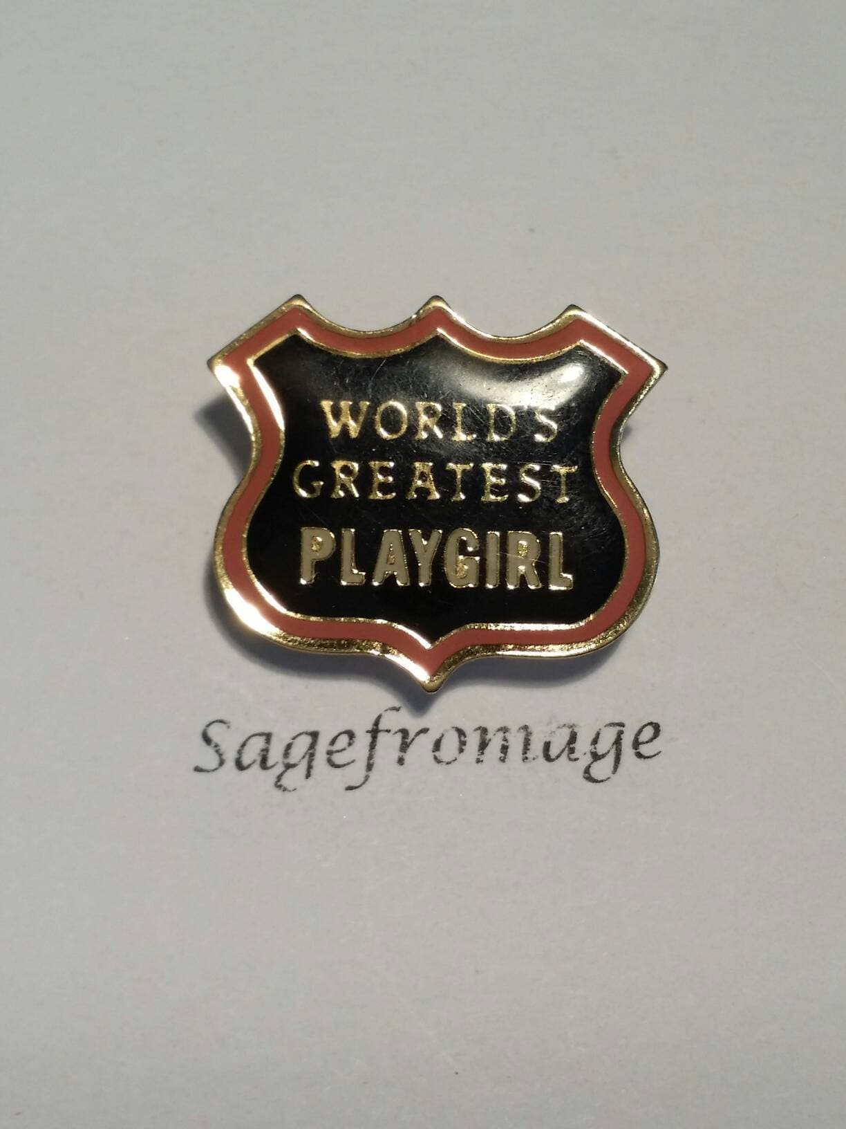 world greatest playgirl pin