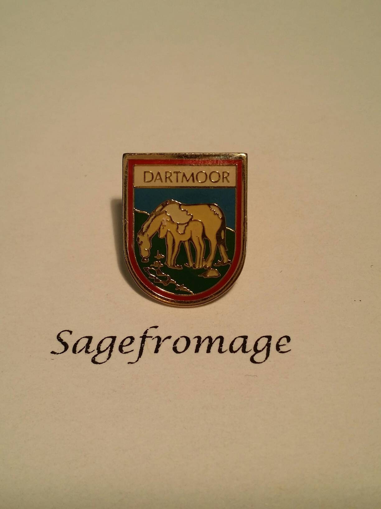 dartmoor pin