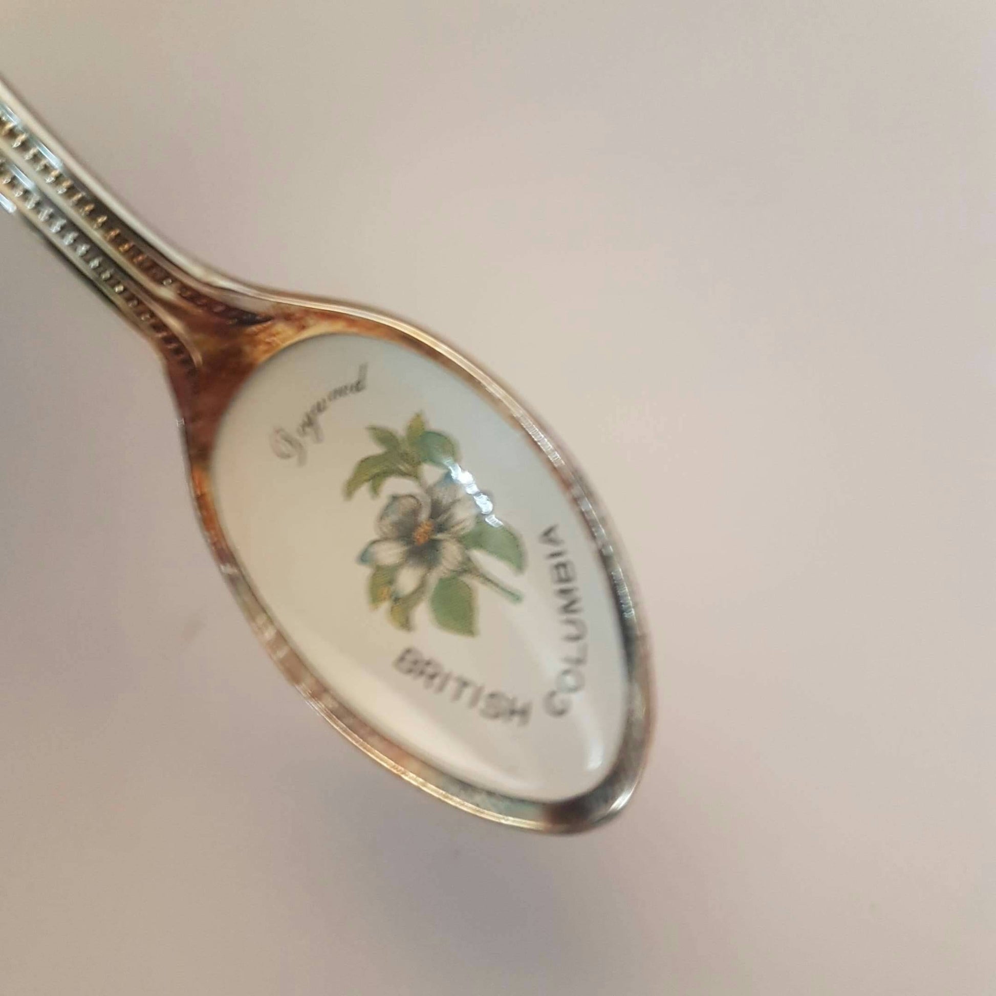 souvenir spoon british columbia