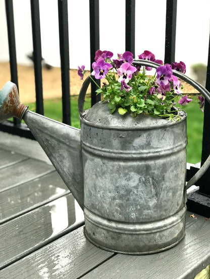 galvanized watering can vintage rustic garden decor