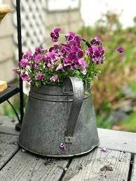 galvanized watering can vintage rustic garden decor