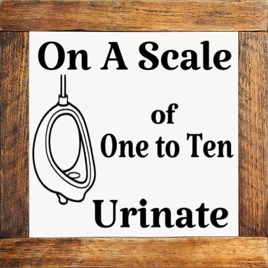 naughty bathroom mini signs mix & match original designs