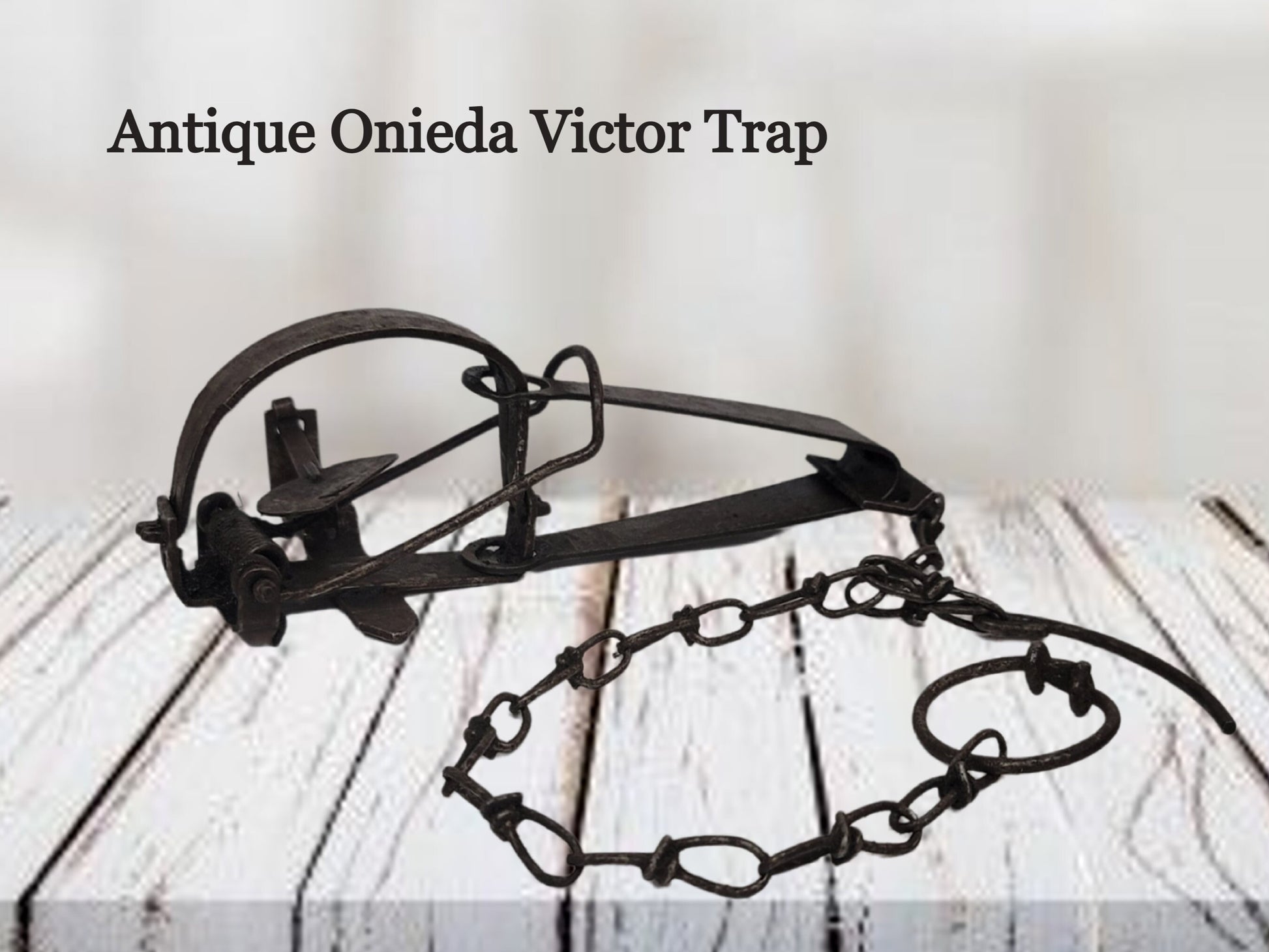 oneida victor leg hold animal trap, spring snare, racoon muskrat mink otter skunk
