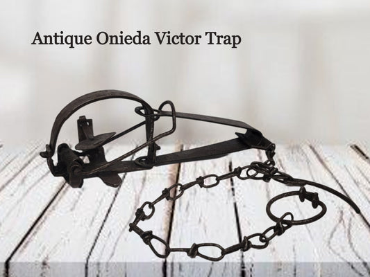 oneida victor leg hold animal trap, spring snare, racoon muskrat mink otter skunk