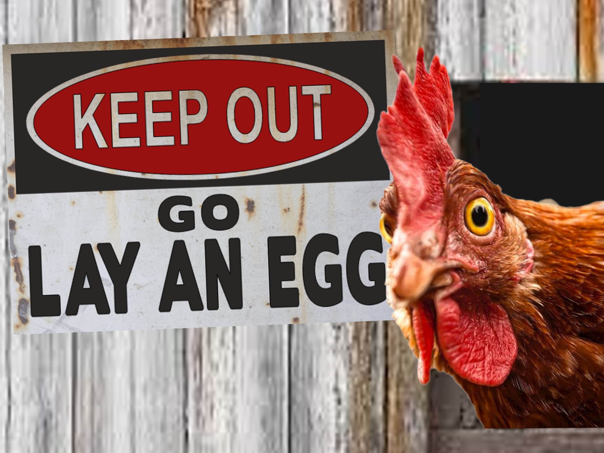 clint eastwood chicken coop sign do you feel lucky punk several styles available