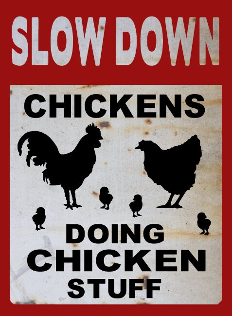 clint eastwood chicken coop sign do you feel lucky punk several styles available