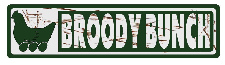 clint eastwood chicken coop sign do you feel lucky punk several styles available