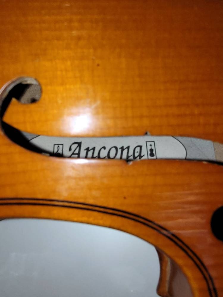 antique violin ancona violin stringed musical instrument